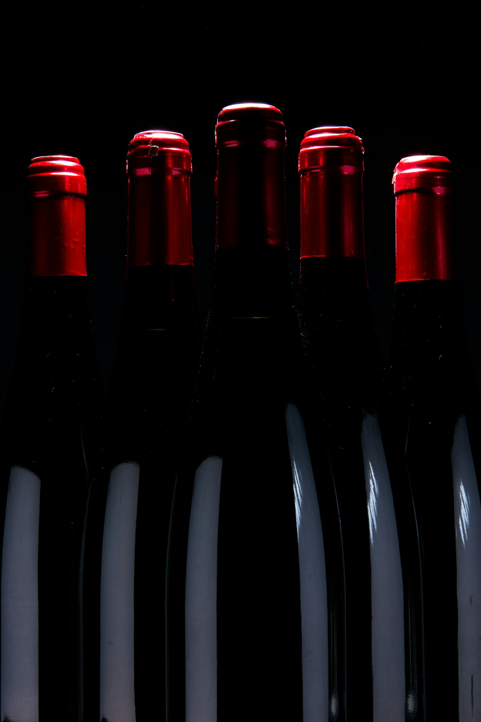 Botellas de vino tinto en la cava de BRASAS